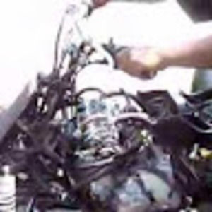 Meet your Posher, Daysha